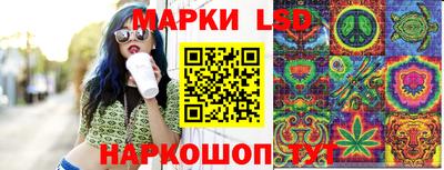 mdpv Новокубанск