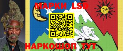 мдпв Новозыбков
