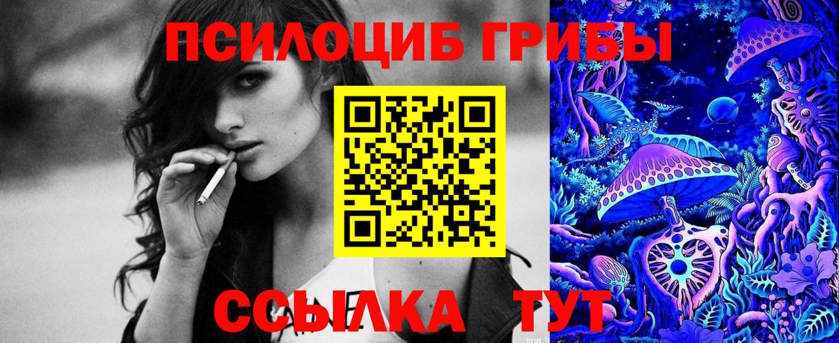 Псилоцибиновые грибы MAGIC MUSHROOMS  цена наркотик  Вход с VPN  Сорочинск  Псилоцибиновые грибы мицелий 