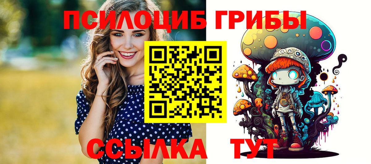 Псилоцибиновые грибы мицелий Сорочинск